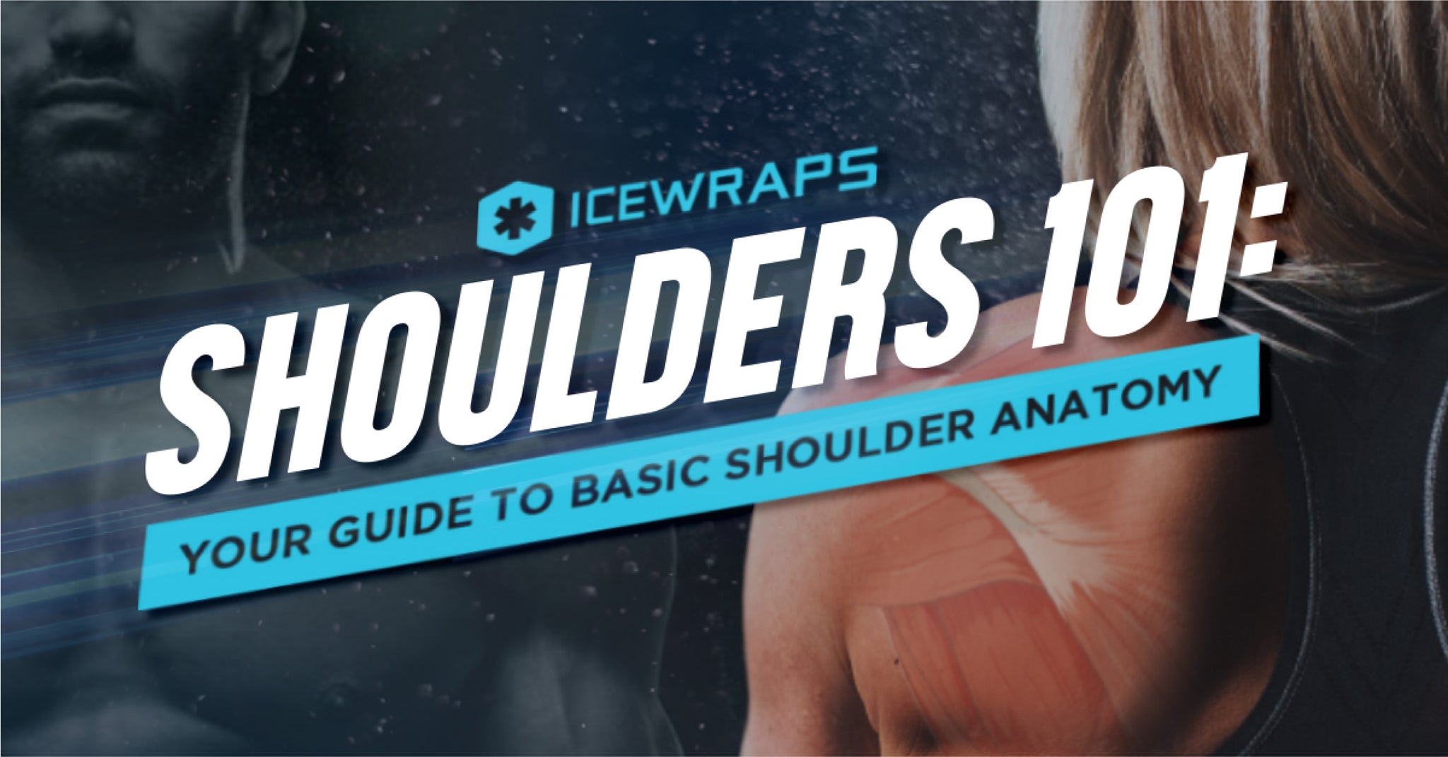 Shoulders 101: Your Guide to Basic Shoulder Anatomy - IceWraps